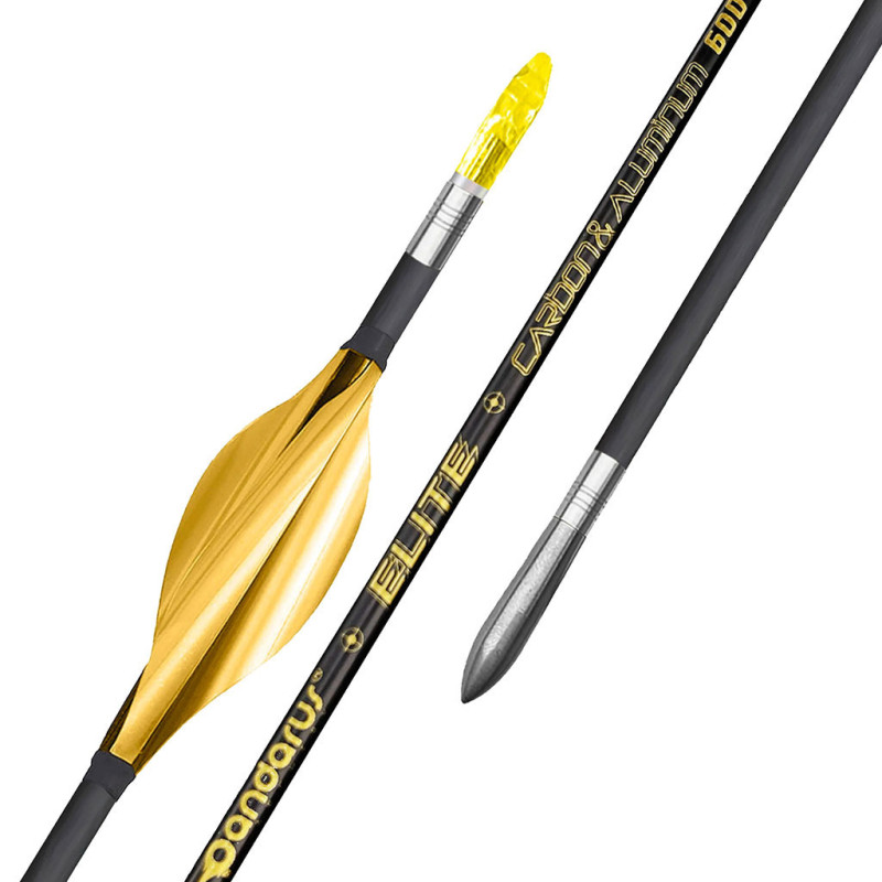 Elite XT