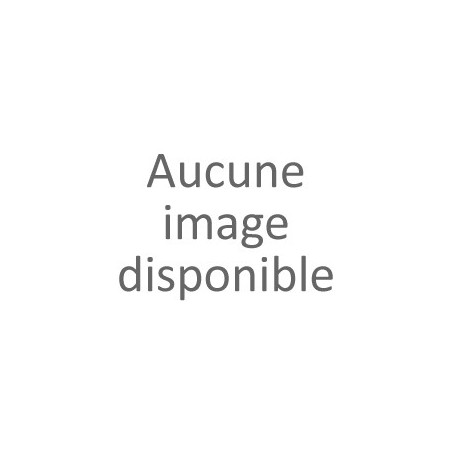 Flèches
